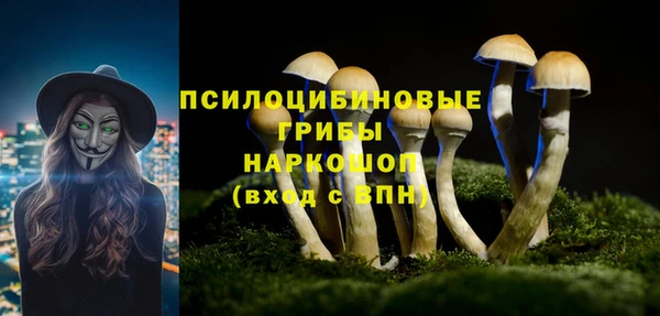 а пвп мука Алзамай