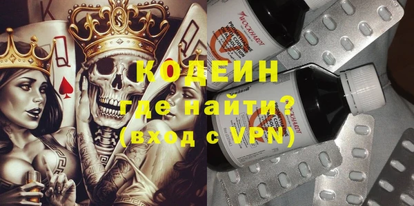 хмурый Алексин